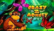  crazy monkey