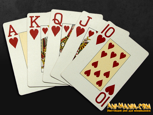    pokerdom365.com