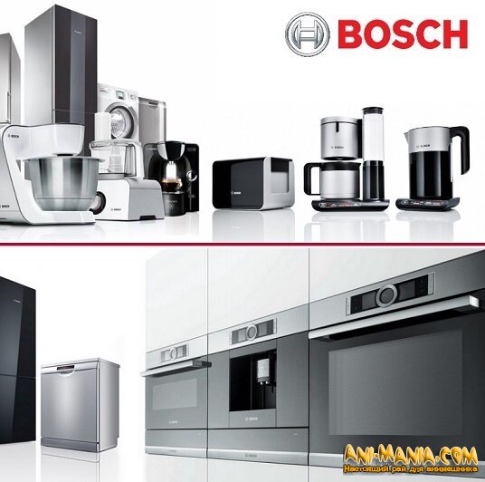      Bosch   